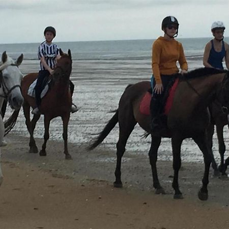 Hambye Decouverte D'Un Haras Proche Du Mont St Michel מראה חיצוני תמונה
