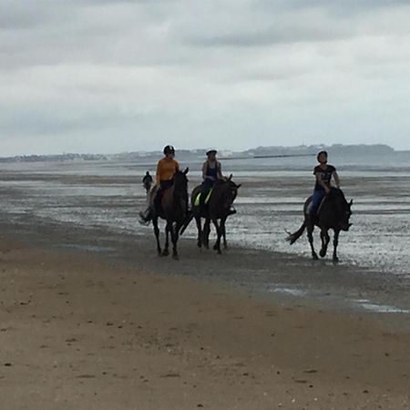 Hambye Decouverte D'Un Haras Proche Du Mont St Michel מראה חיצוני תמונה