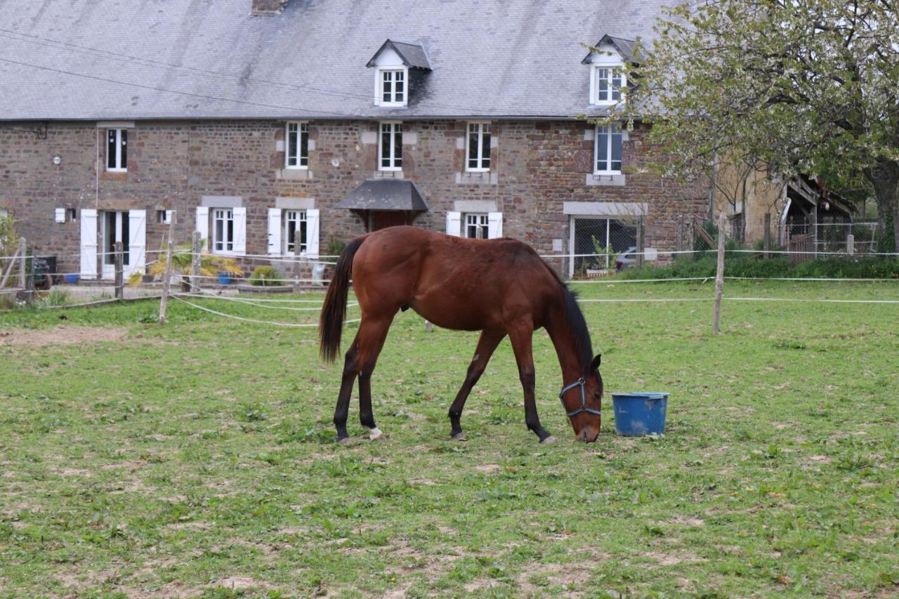 Hambye Decouverte D'Un Haras Proche Du Mont St Michel מראה חיצוני תמונה