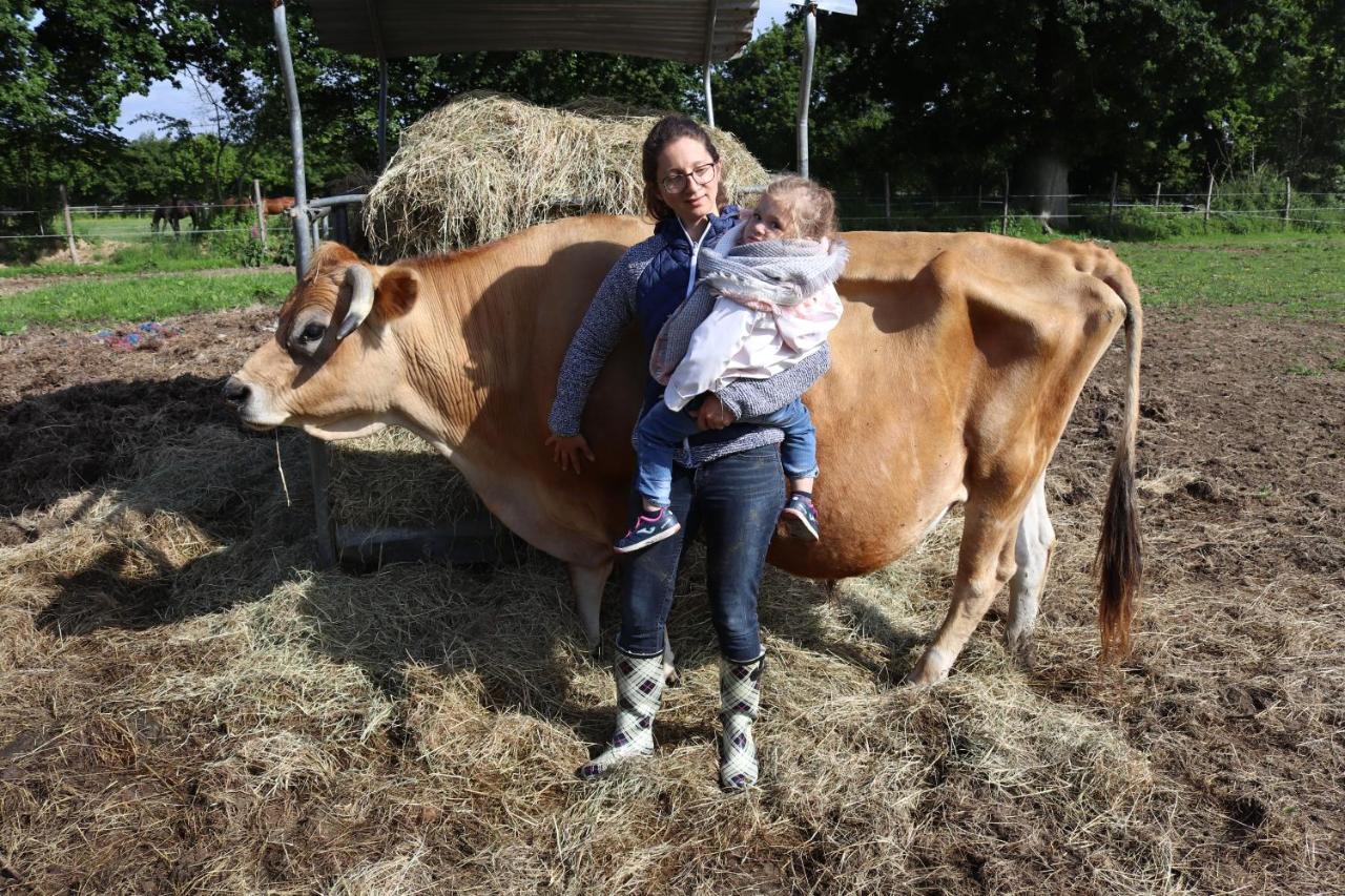 Hambye Decouverte D'Un Haras Proche Du Mont St Michel מראה חיצוני תמונה