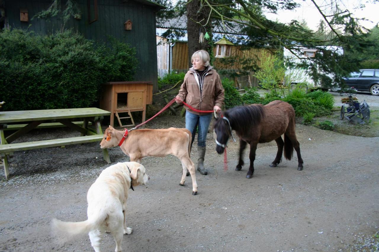 Hambye Decouverte D'Un Haras Proche Du Mont St Michel מראה חיצוני תמונה