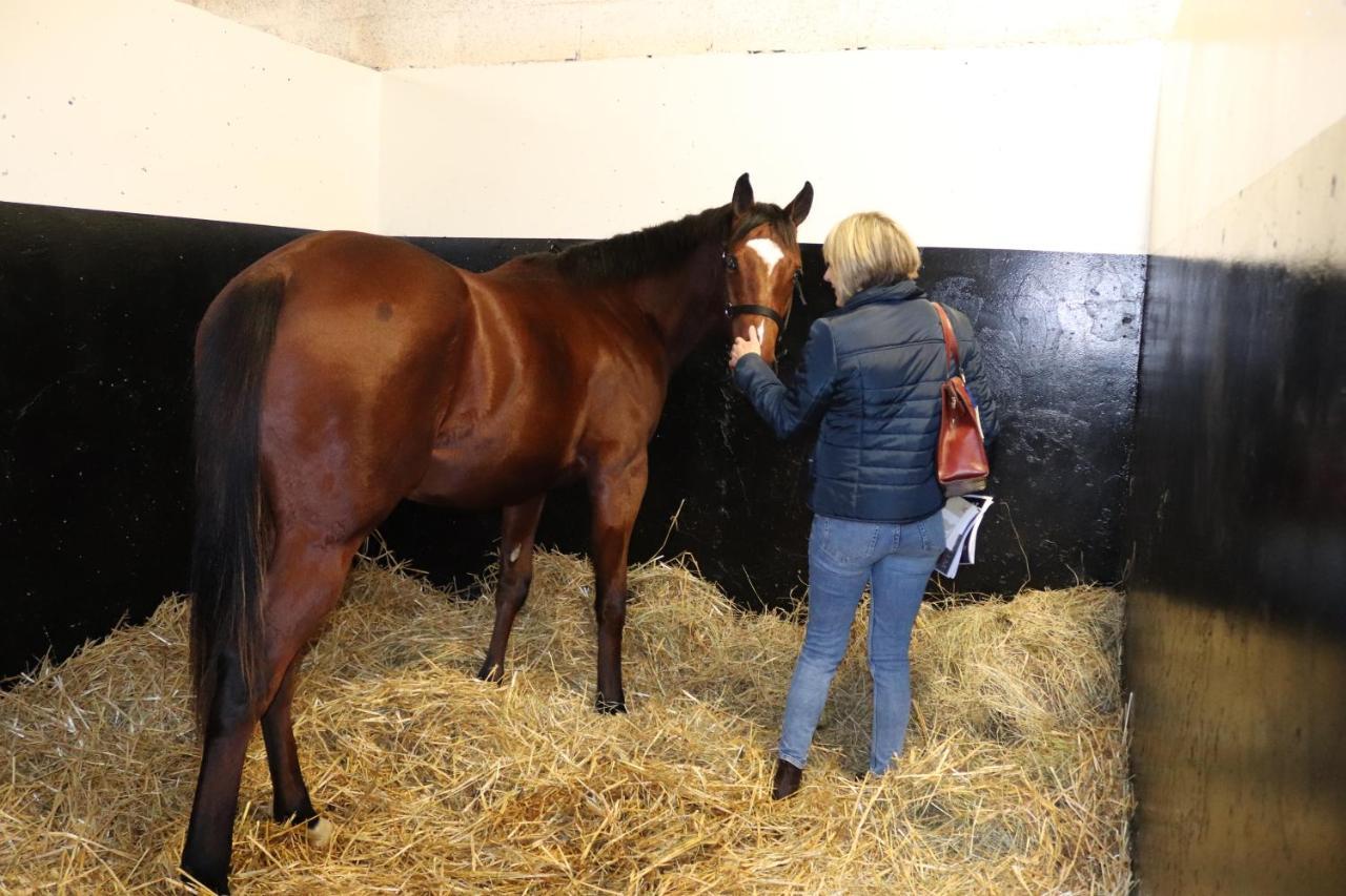Hambye Decouverte D'Un Haras Proche Du Mont St Michel מראה חיצוני תמונה