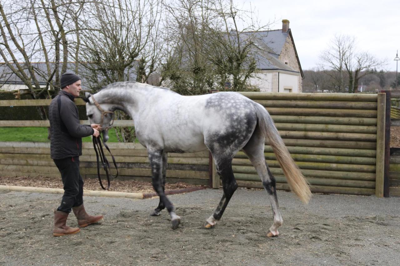 Hambye Decouverte D'Un Haras Proche Du Mont St Michel מראה חיצוני תמונה