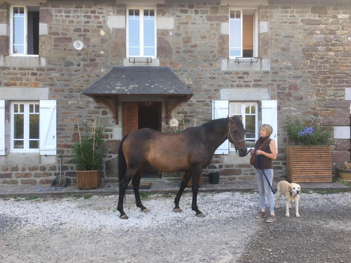 Hambye Decouverte D'Un Haras Proche Du Mont St Michel מראה חיצוני תמונה