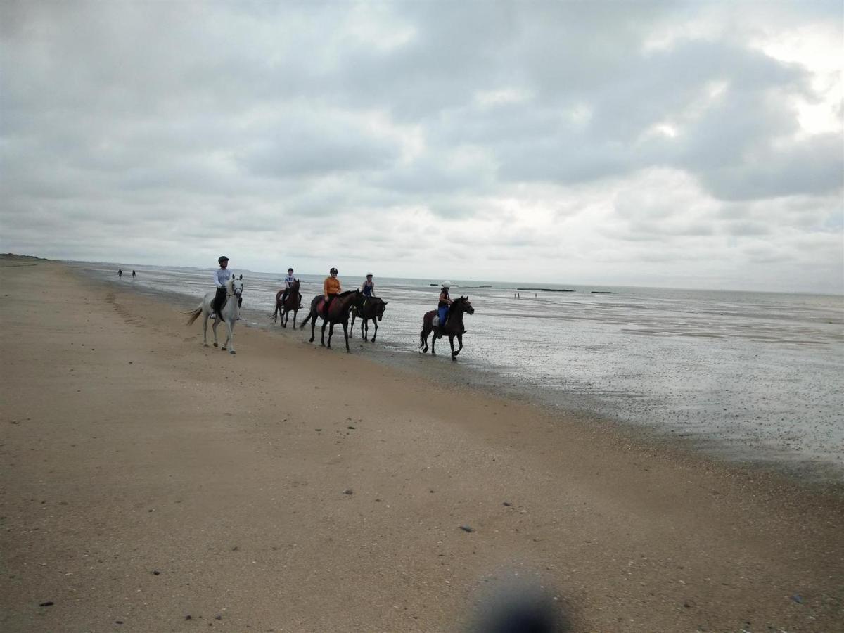 Hambye Decouverte D'Un Haras Proche Du Mont St Michel מראה חיצוני תמונה
