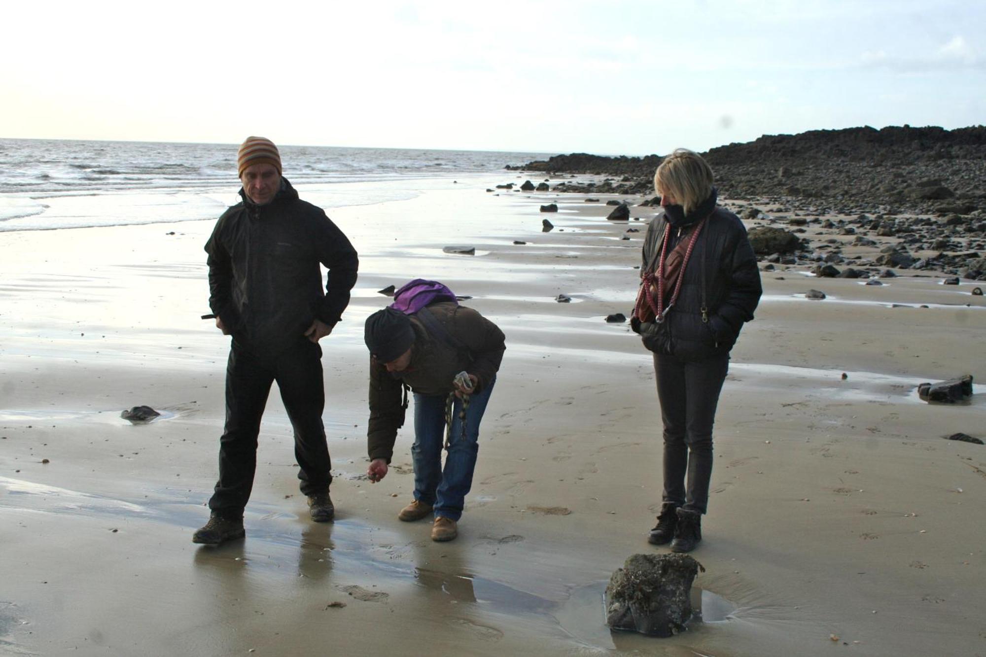 Hambye Decouverte D'Un Haras Proche Du Mont St Michel מראה חיצוני תמונה