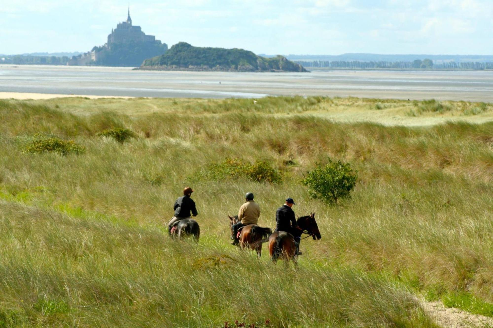Hambye Decouverte D'Un Haras Proche Du Mont St Michel מראה חיצוני תמונה