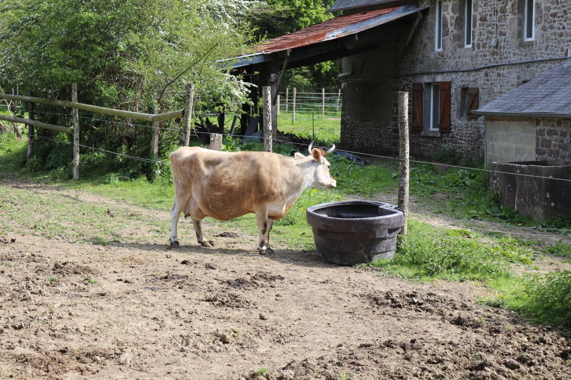Hambye Decouverte D'Un Haras Proche Du Mont St Michel מראה חיצוני תמונה
