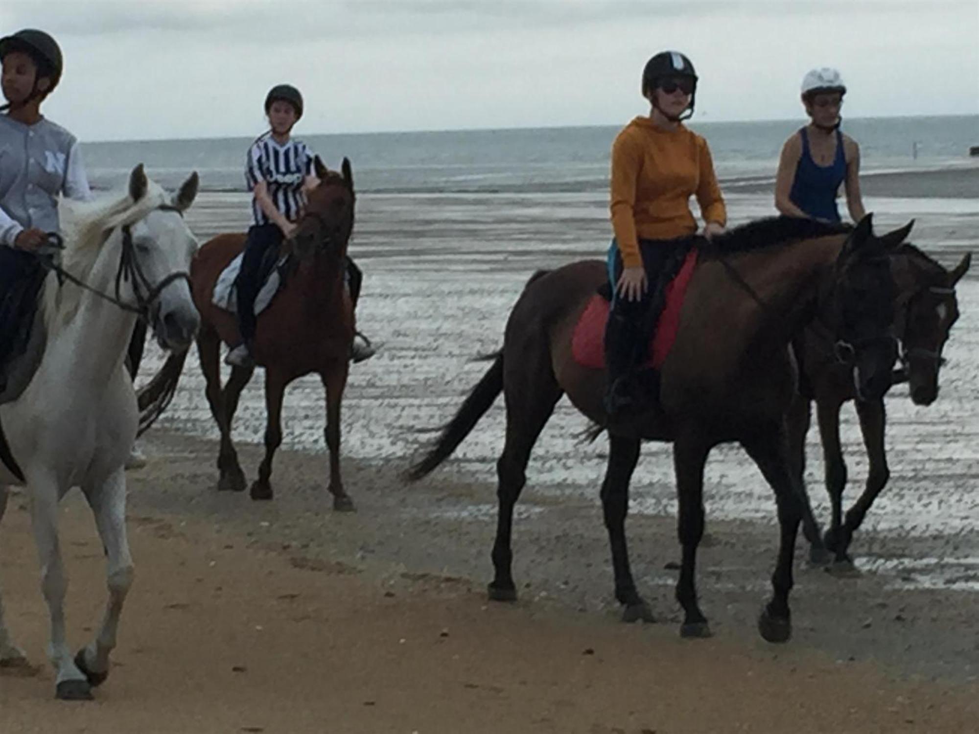 Hambye Decouverte D'Un Haras Proche Du Mont St Michel מראה חיצוני תמונה