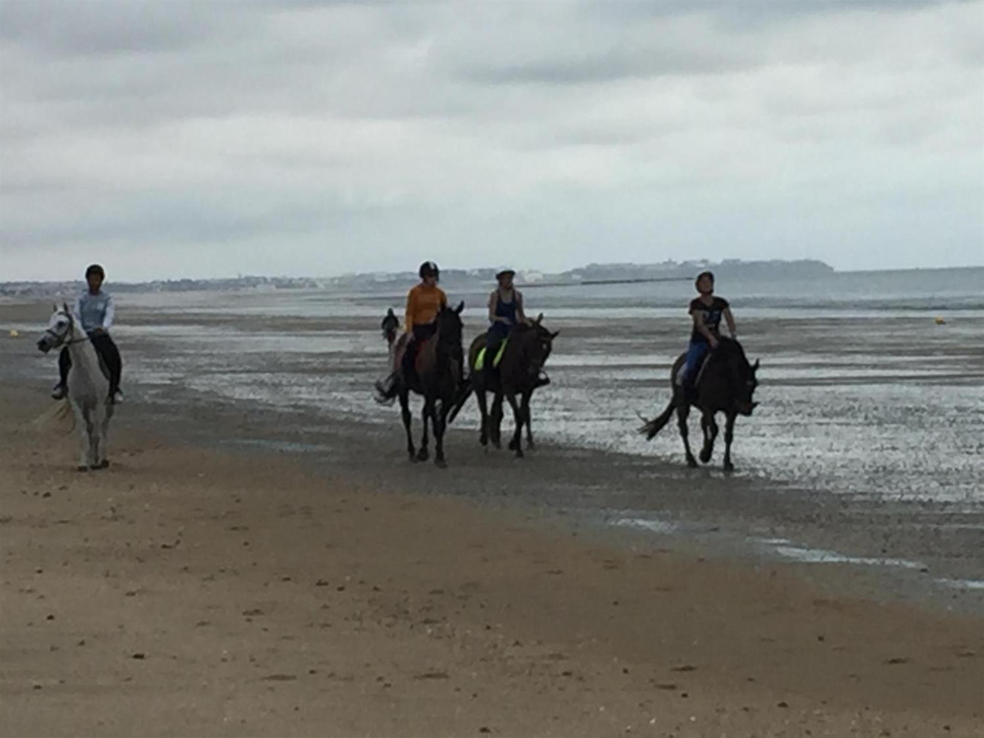 Hambye Decouverte D'Un Haras Proche Du Mont St Michel מראה חיצוני תמונה