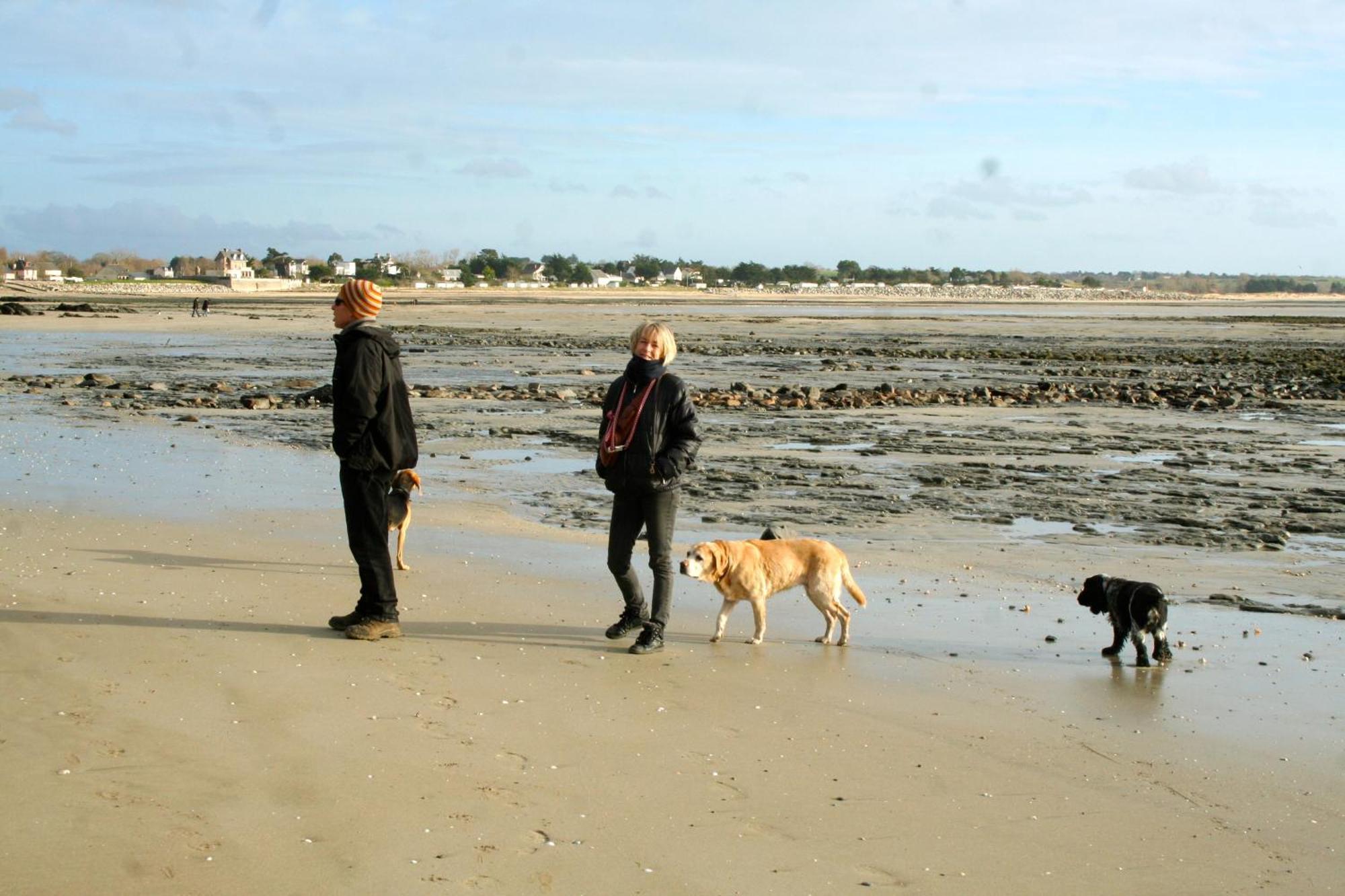 Hambye Decouverte D'Un Haras Proche Du Mont St Michel מראה חיצוני תמונה
