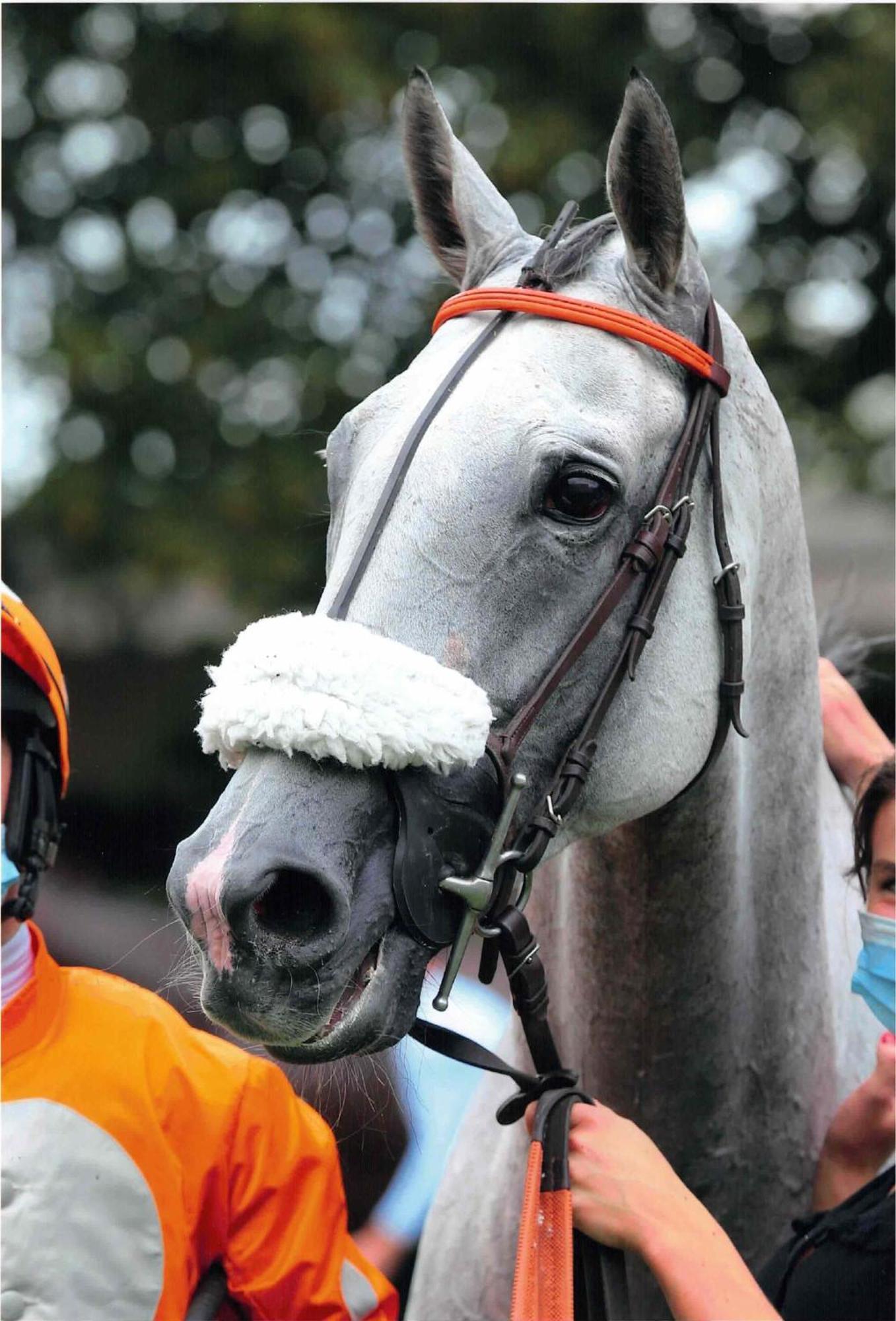 Hambye Decouverte D'Un Haras Proche Du Mont St Michel מראה חיצוני תמונה