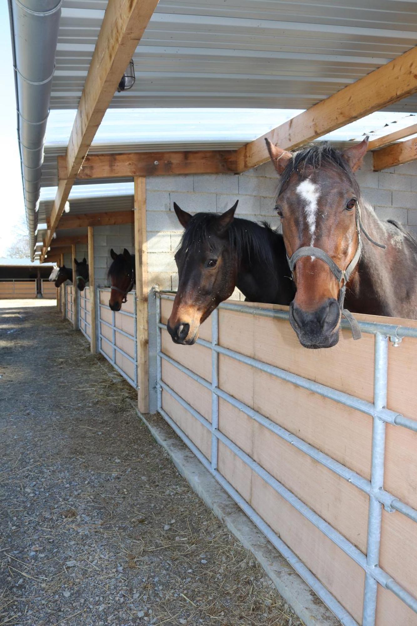 Hambye Decouverte D'Un Haras Proche Du Mont St Michel מראה חיצוני תמונה