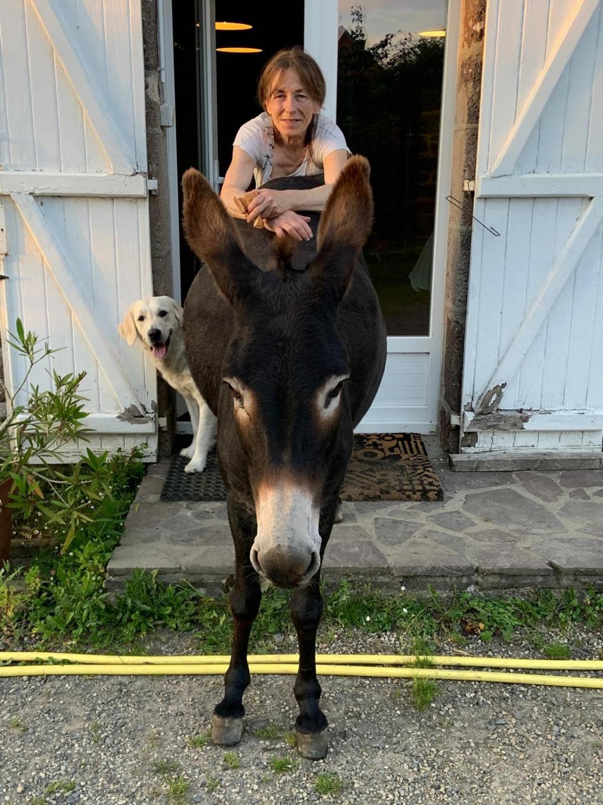 Hambye Decouverte D'Un Haras Proche Du Mont St Michel מראה חיצוני תמונה
