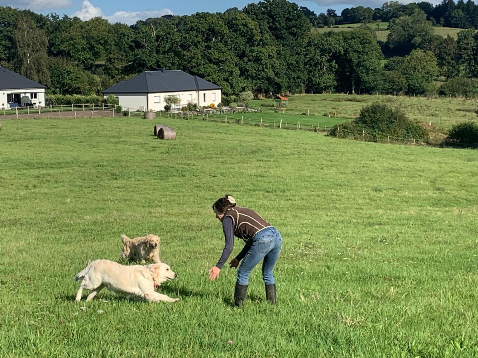 Hambye Decouverte D'Un Haras Proche Du Mont St Michel מראה חיצוני תמונה