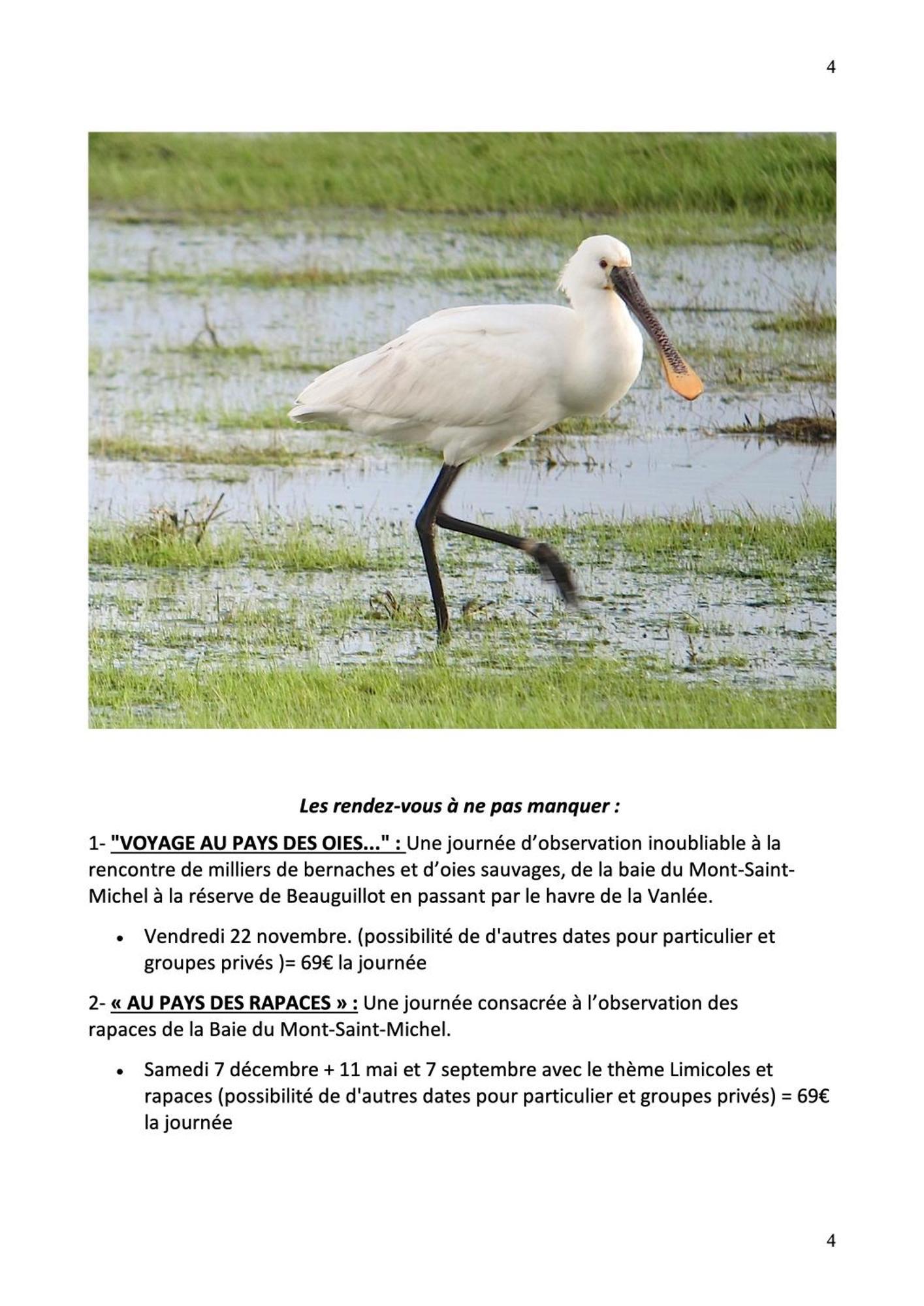 Hambye Decouverte D'Un Haras Proche Du Mont St Michel מראה חיצוני תמונה